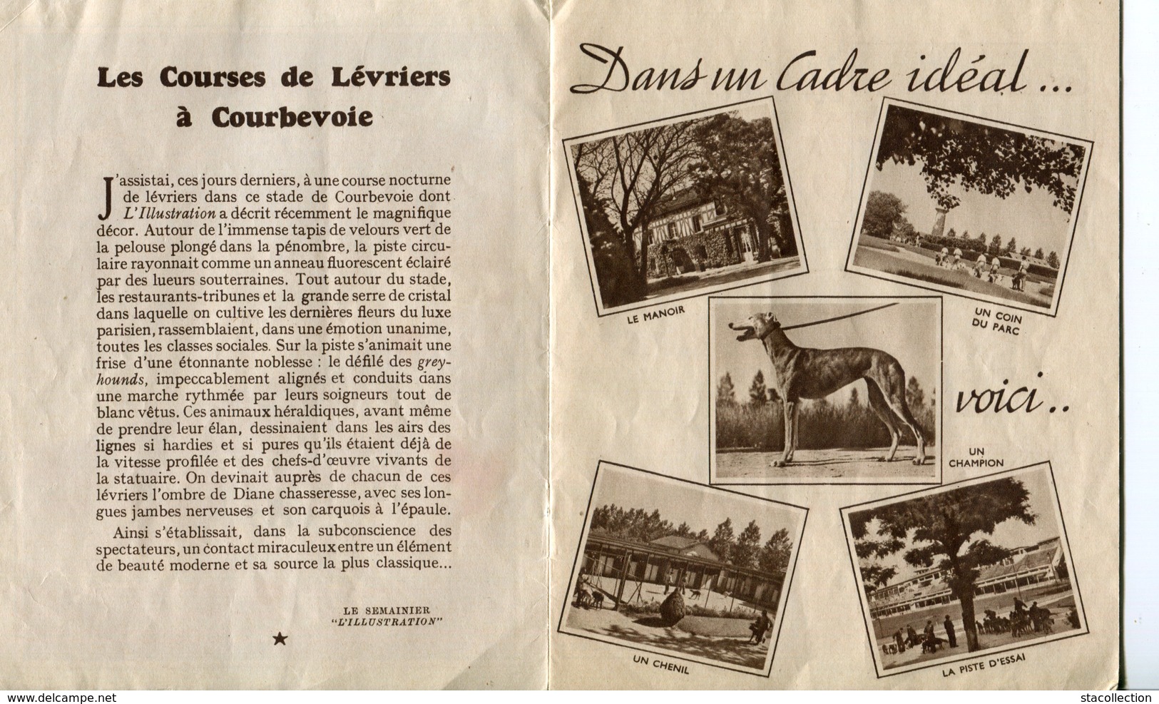 PEU COMMUN ! LIVRET 1930 13 PAGES 56 PHOTOS COURSES DE LEVRIERS COURBEVOIE PARIS HAUTS DE SEINE VIEUX PAPIERS LIVRES - Chiens