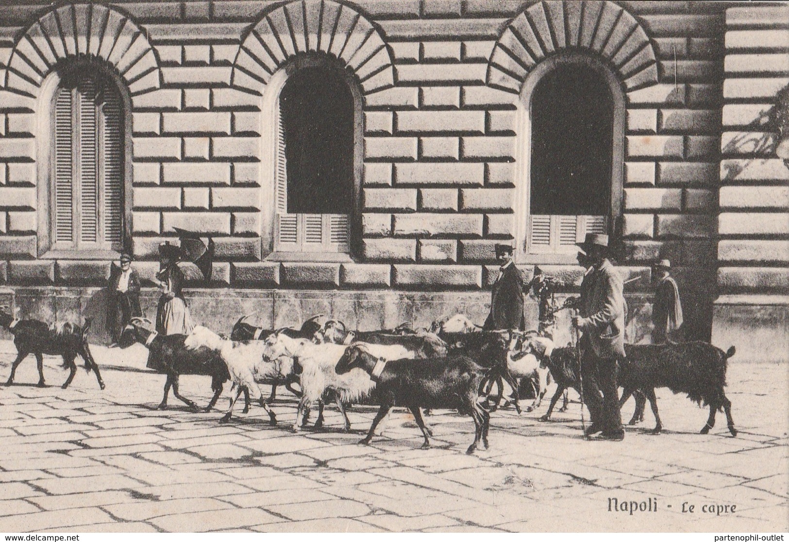 Cartolina- Postcard / Non Viaggiata - Unsent /  Napoli, Le Capre. - Napoli (Naples)