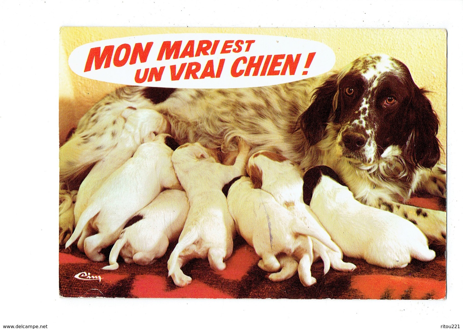 Cpm - Humour  Animaux Humoristiques Mon Mari Est Un Vrai Chien - épagneul - Chienne Allaite Chiots - Dogs