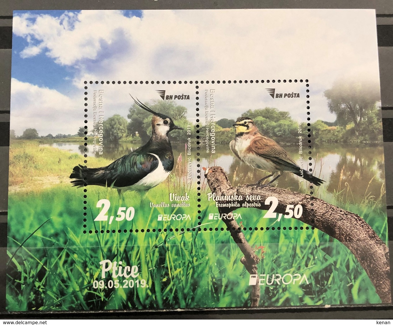 Bosnia And Hercegovina, 2019, Europa Cept, Birds, Block (MNH) - Bosnien-Herzegowina