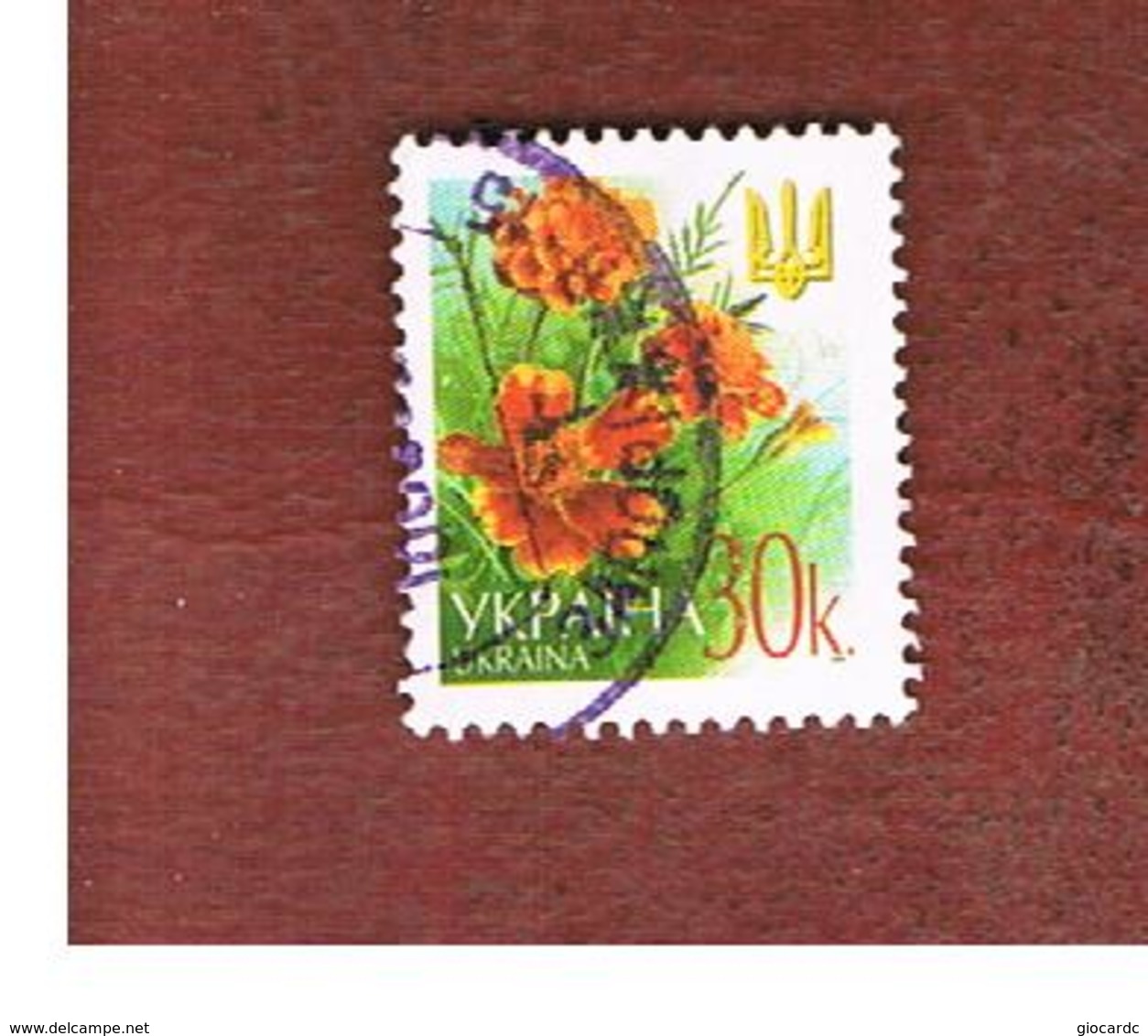 UCRAINA (UKRAINE)  -  MI 508AI   -  2002  FLOWERS: MARIGOLDS   -   USED - Oekraïne