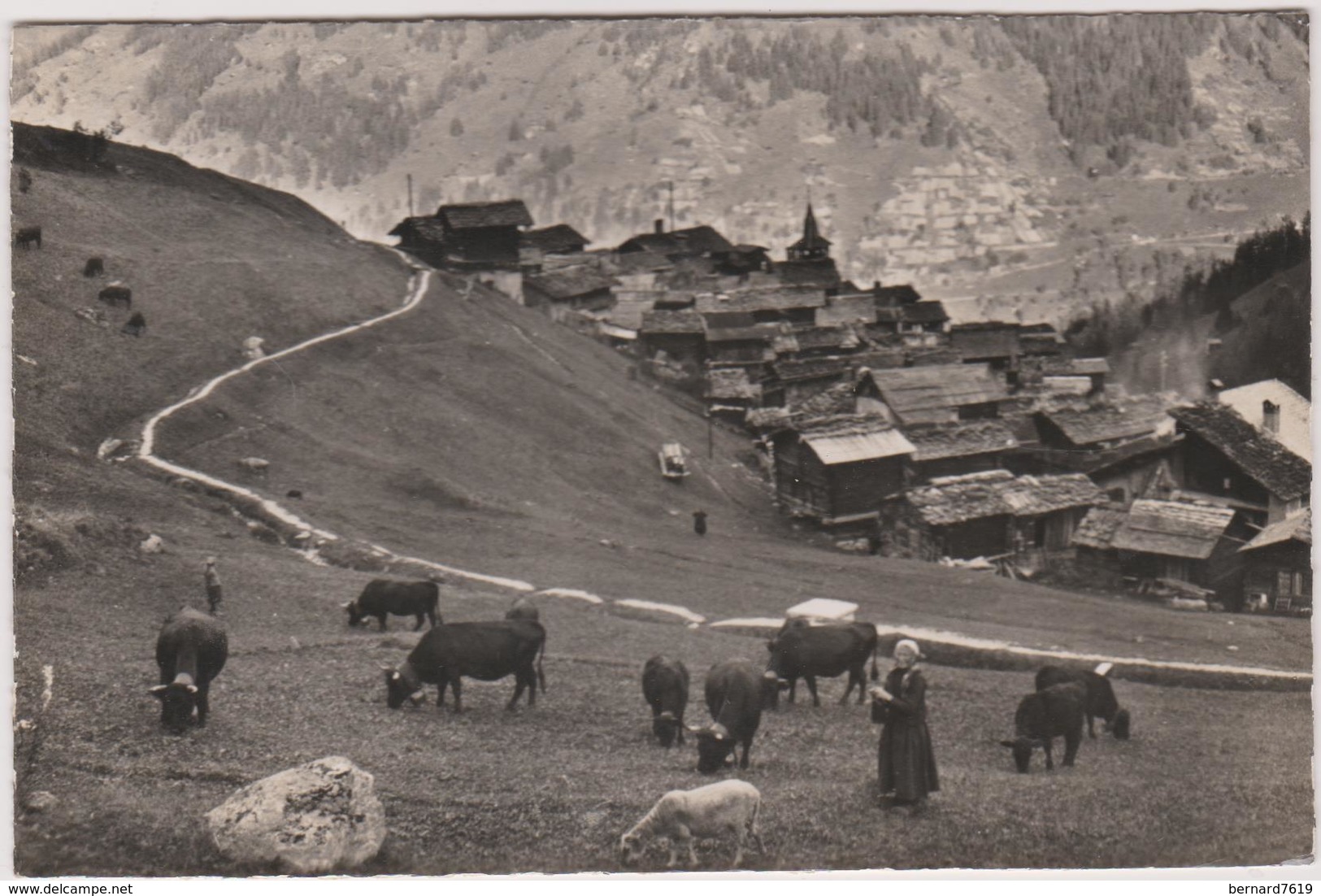 Suisse  Grimentz Val D'anniviers En Champ  Le Long Du Bisse - Grimentz