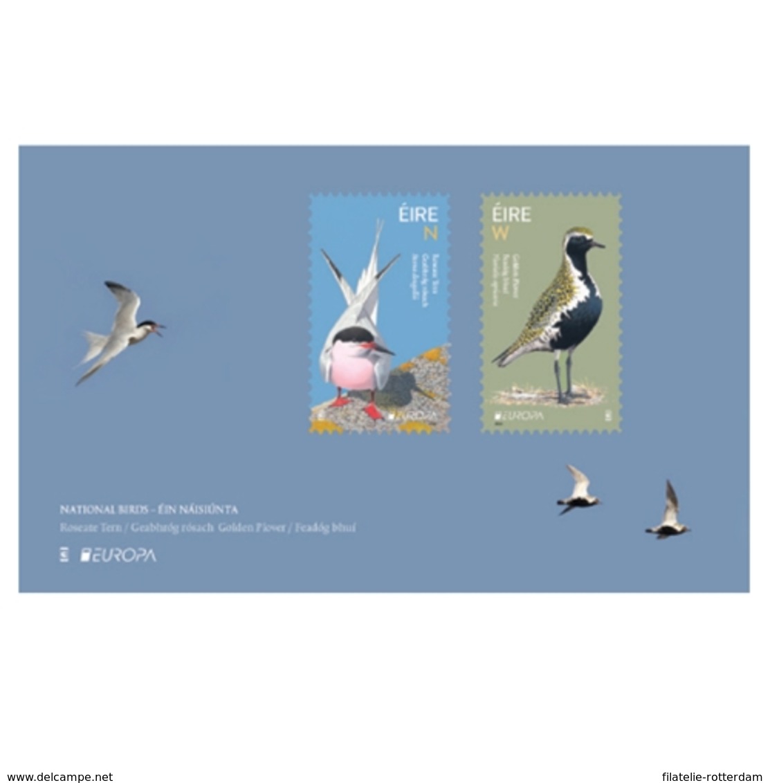 Ierland / Ireland - Postfris / MNH - Sheet Europa, Vogels 2019 - Ongebruikt