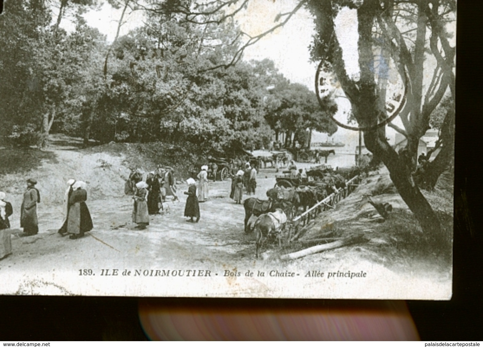 NOIRMOUTIER           JLM - Noirmoutier