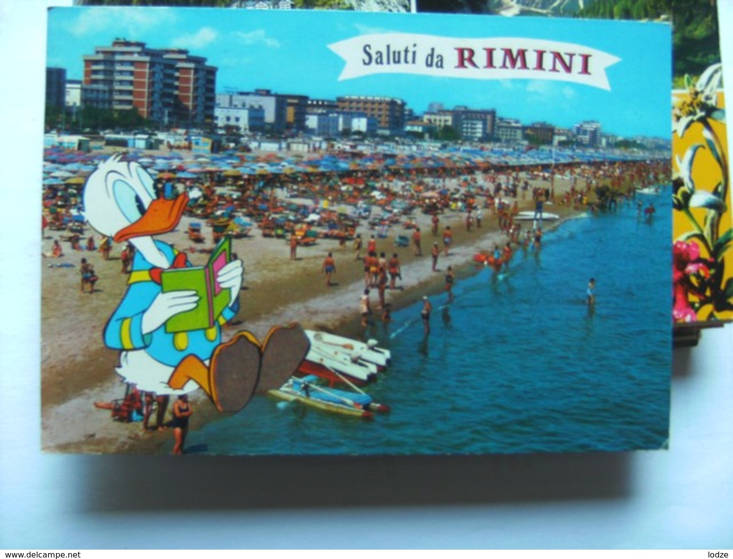 Italië Italy Italien Emilia Romagna Saluta Da Rimini Donald Duck - Rimini