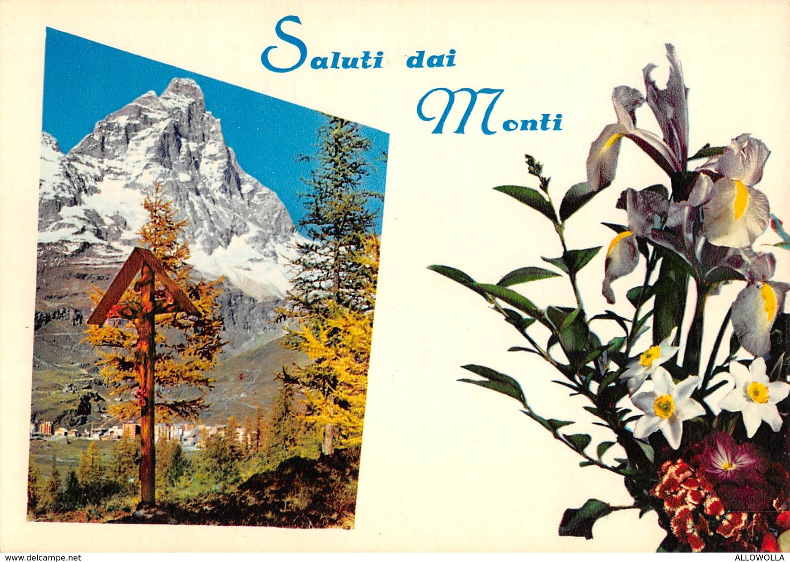 3721 " SALUTO DAI MONTI -  MINI LOTTO DI 9 CARTOLINE" CART. POST. OR. NON SPED.