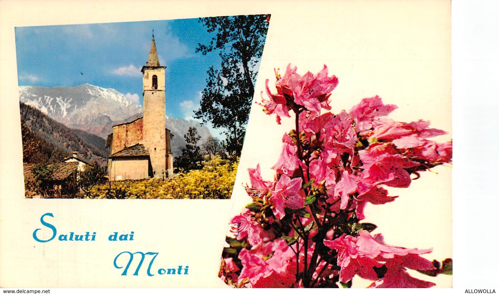 3721 " SALUTO DAI MONTI -  MINI LOTTO DI 9 CARTOLINE" CART. POST. OR. NON SPED.