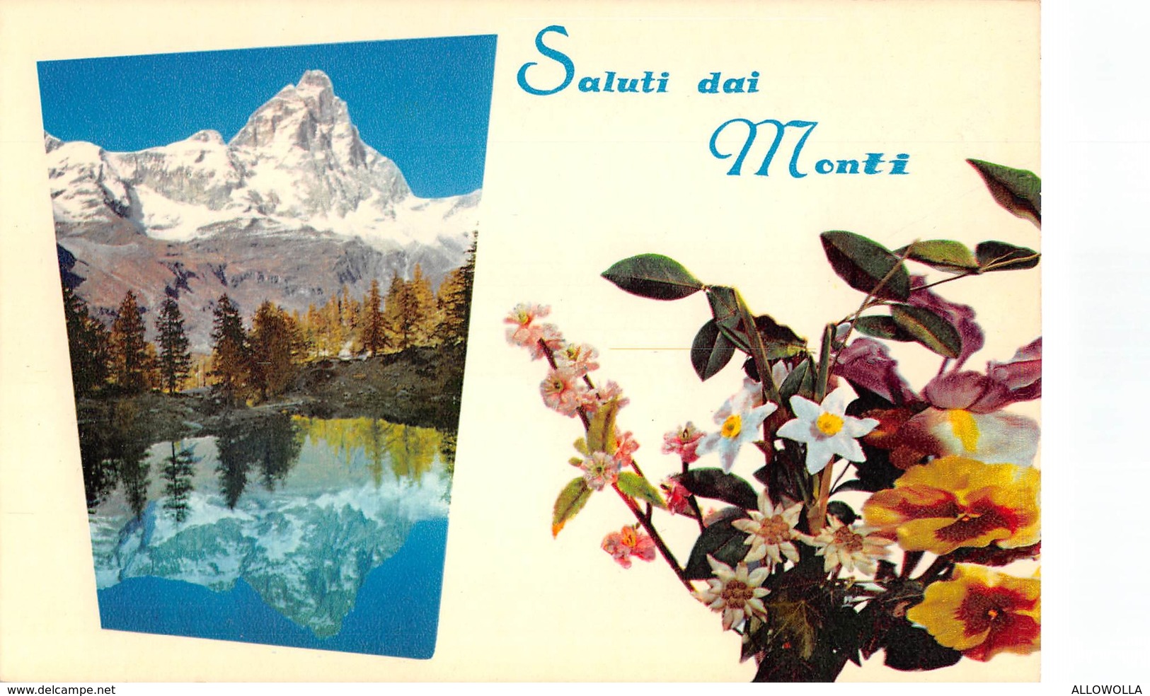 3721 " SALUTO DAI MONTI -  MINI LOTTO DI 9 CARTOLINE" CART. POST. OR. NON SPED.