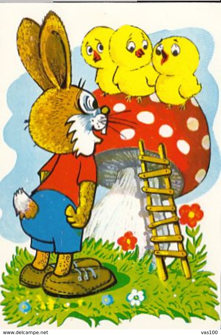 CPA MUSHROOMS, RABBIT, CHICKENS, FLOWERS, LADDER - Pilze