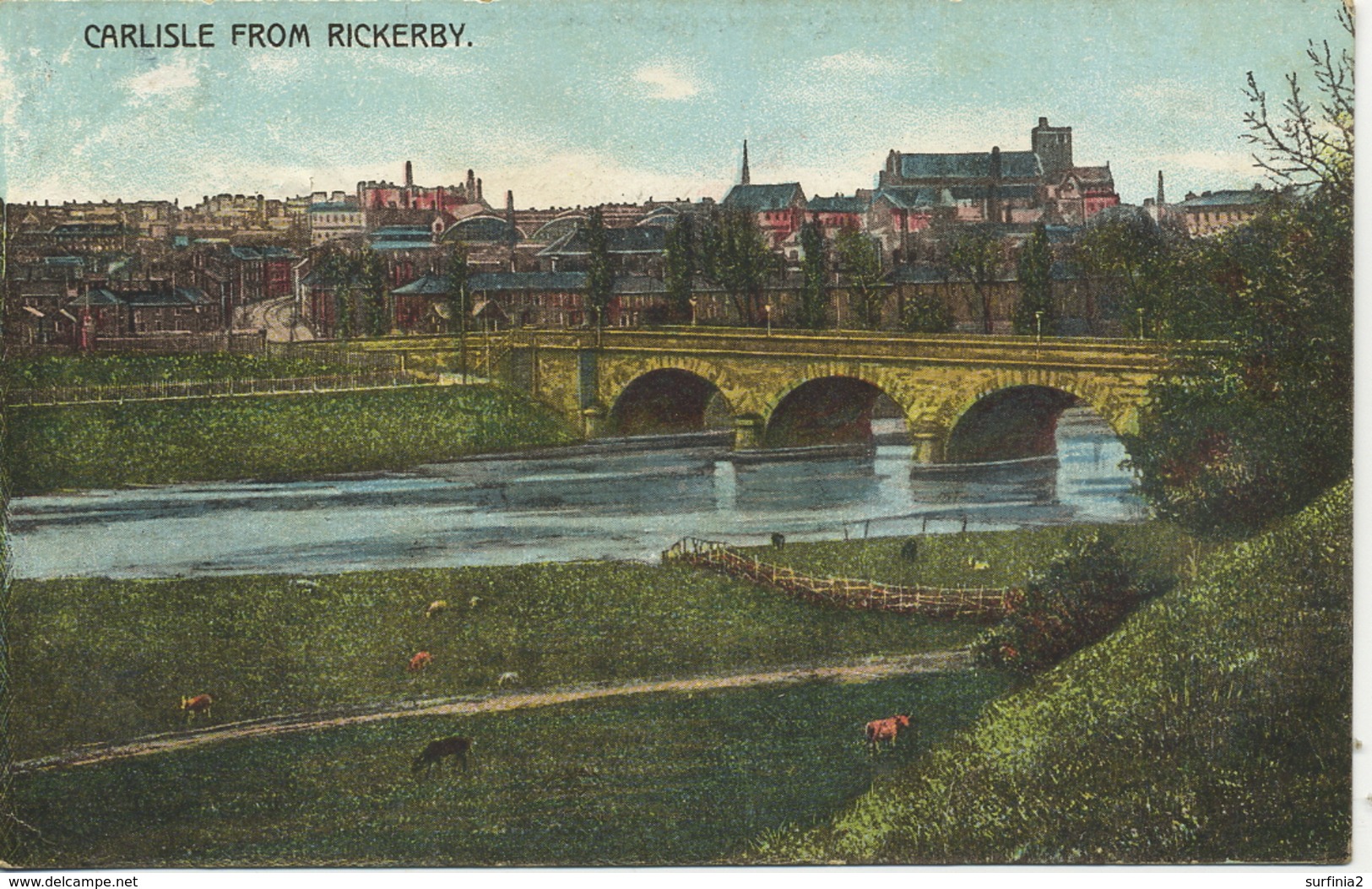 CUMBRIA - CARLISLE -FROM RICKERBY  1906 Cu496 - Carlisle