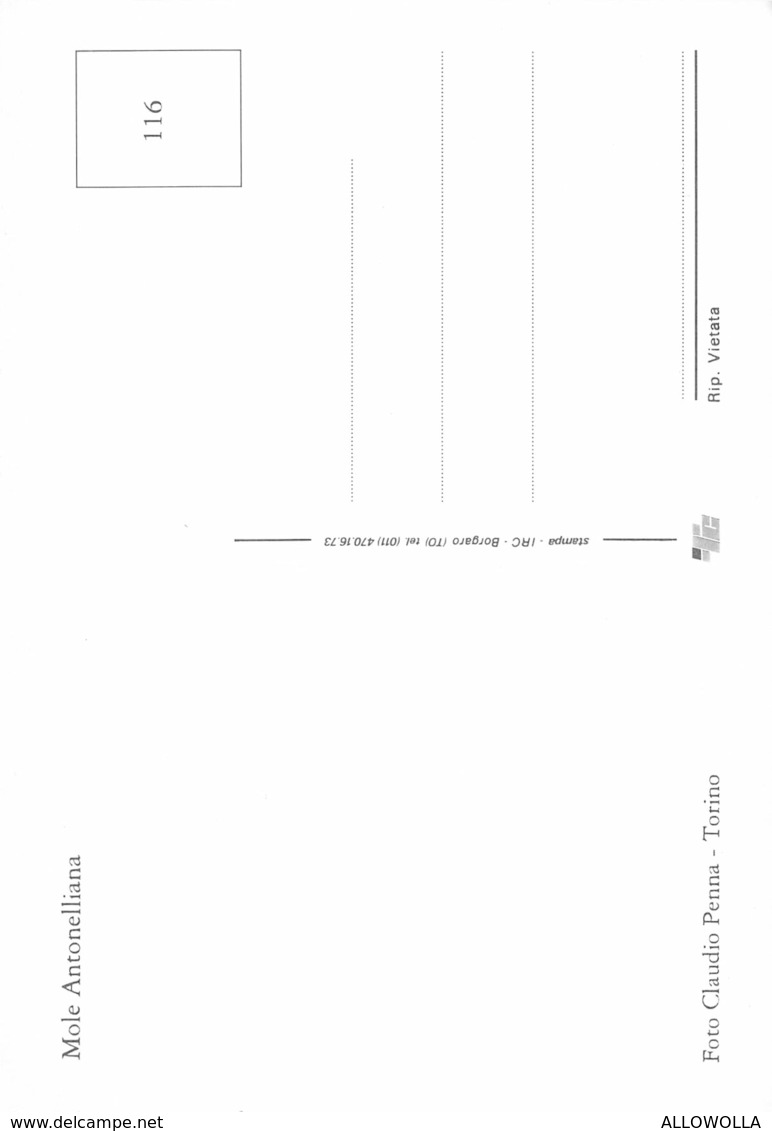 3750" TORINO-MOLE ANTONELLIANA "  CART. POST. OR. NON SPED. - Mole Antonelliana