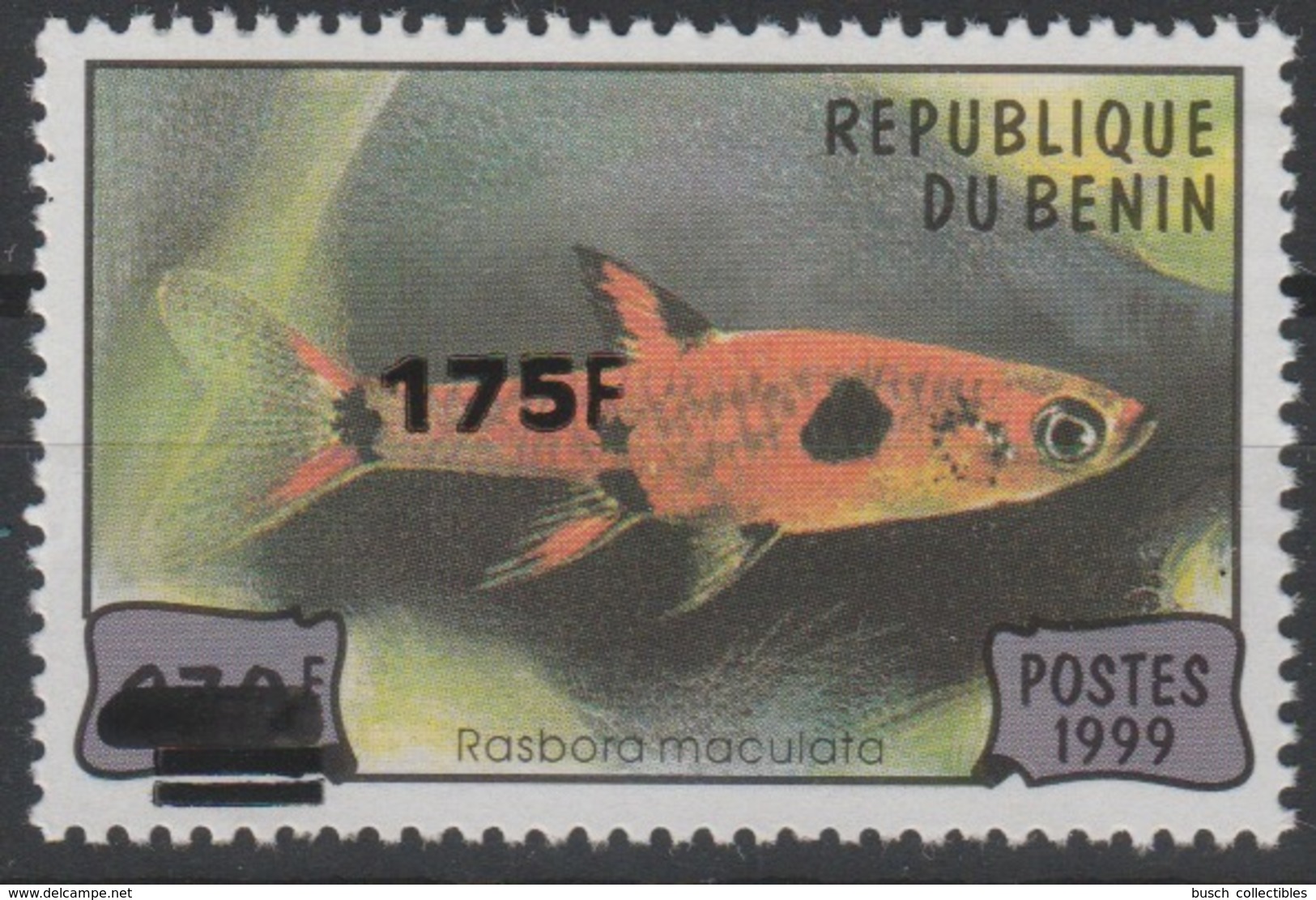 Bénin 2005 Mi. 1389 Rasbora Maculata Poisson Fish Fisch Faune Fauna Marine Surchargé Overprint MNH** - Benin – Dahomey (1960-...)