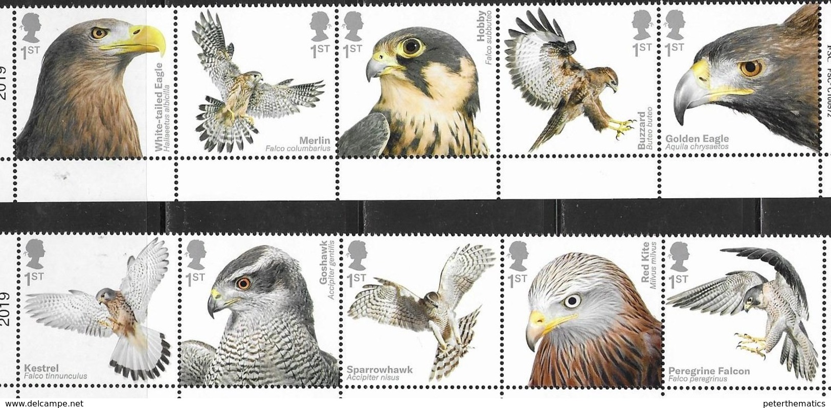 UK, 2019, MNH, BIRDS, BIRDS OF PREY, KITES, KESTRELS, FALCONS, HAWKS,EAGLES, BUZZARDS, 10v - Aigles & Rapaces Diurnes