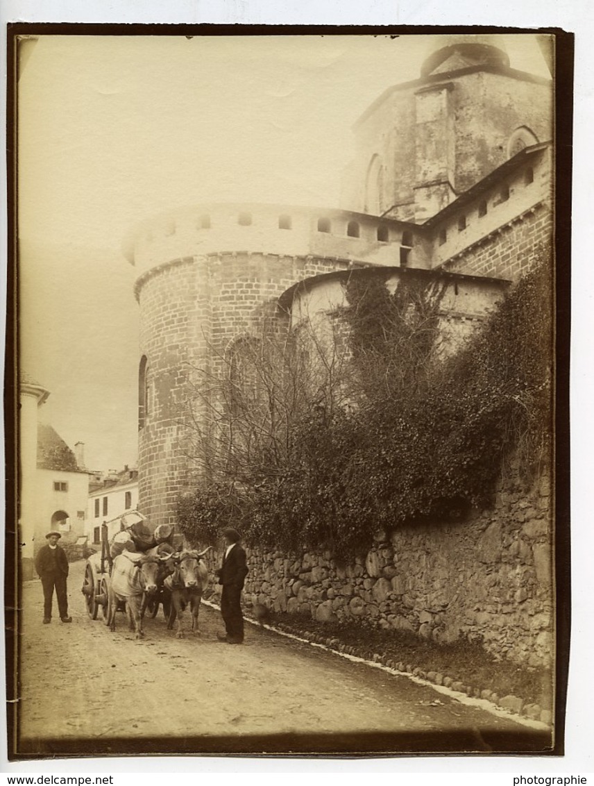 France Pays Basque Hendaye Transport Du Bois Boeufs Ancienne Photo 1880 - Anciennes (Av. 1900)