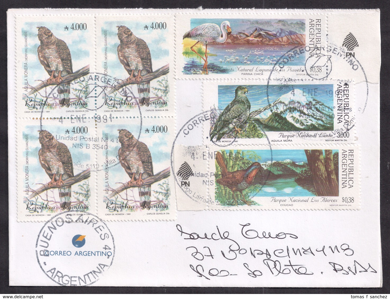 Argentina - 1990 - Lettre - Moine Aigle - Aigle Noir - Oiseaux - Águilas & Aves De Presa