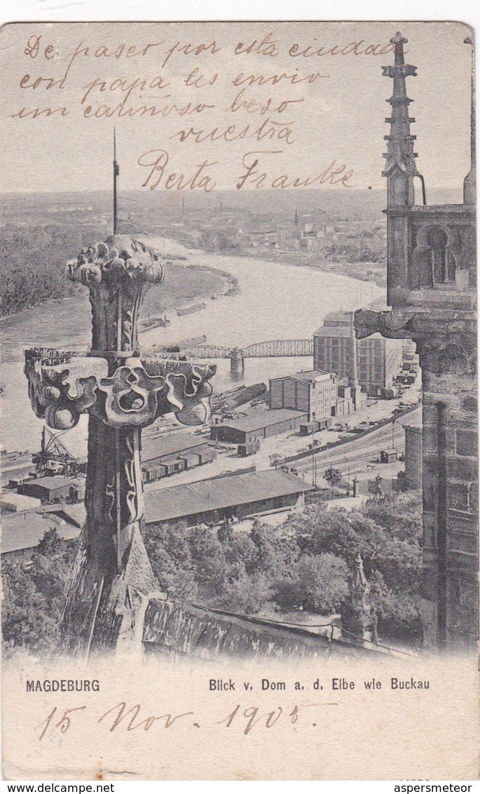 MAGDEBURG. BLICK V DOM A D ELBE WLE BUCKAU. REINICKE & RUBIN. CIRCULEE 1903 A BUENOS AIRES TIMBRE ARRACHE - BLEUP - Magdeburg