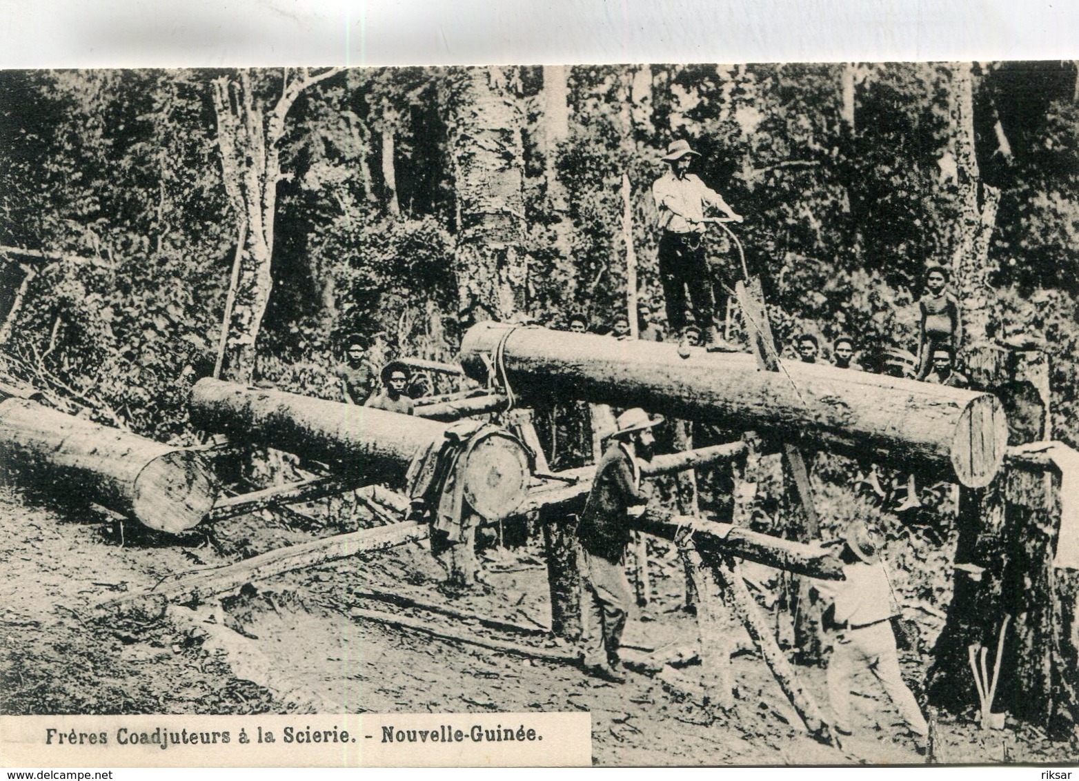 NOUVELLE GUINEE(SCIERIE) BOIS - Papouasie-Nouvelle-Guinée