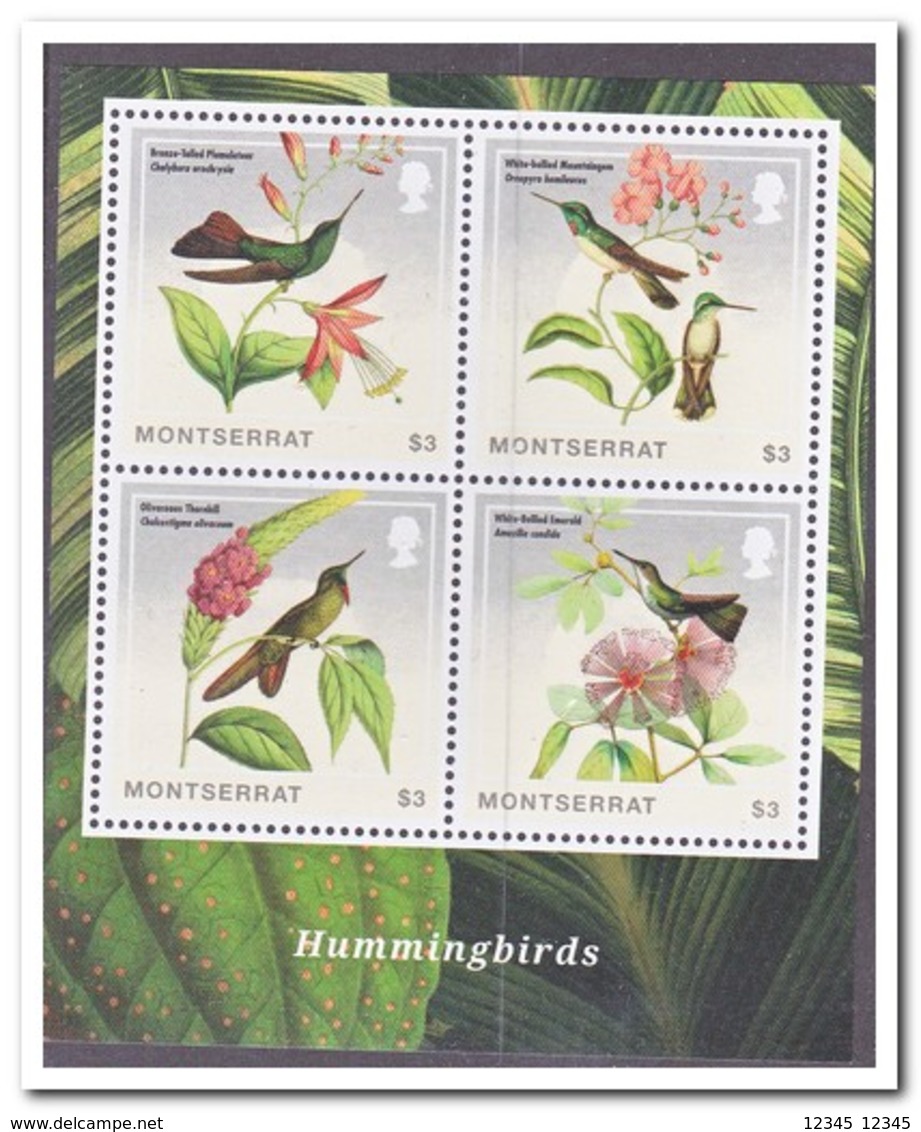 Montserrat 2014, Postfris MNH, Birds - Montserrat