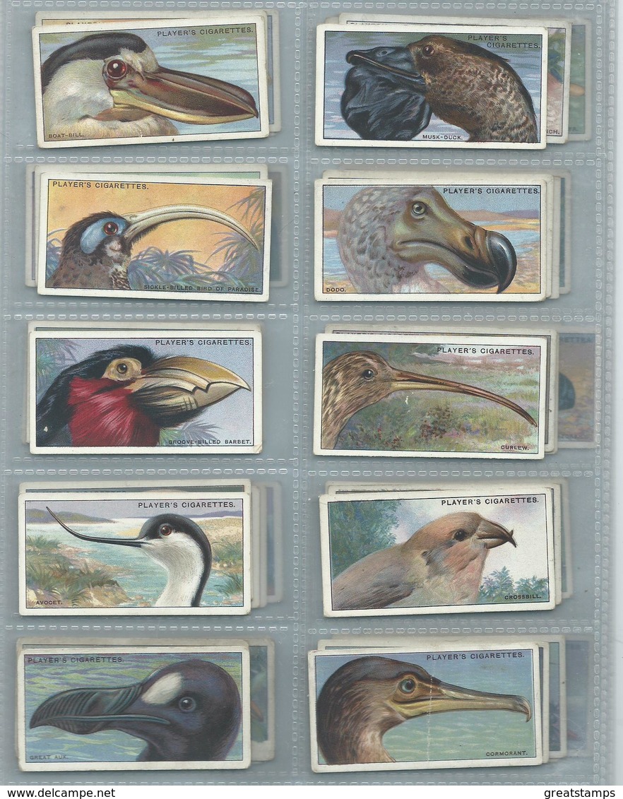 Will's  Cigarette Cards Curious Beaks 50/50 Full Set - Wills