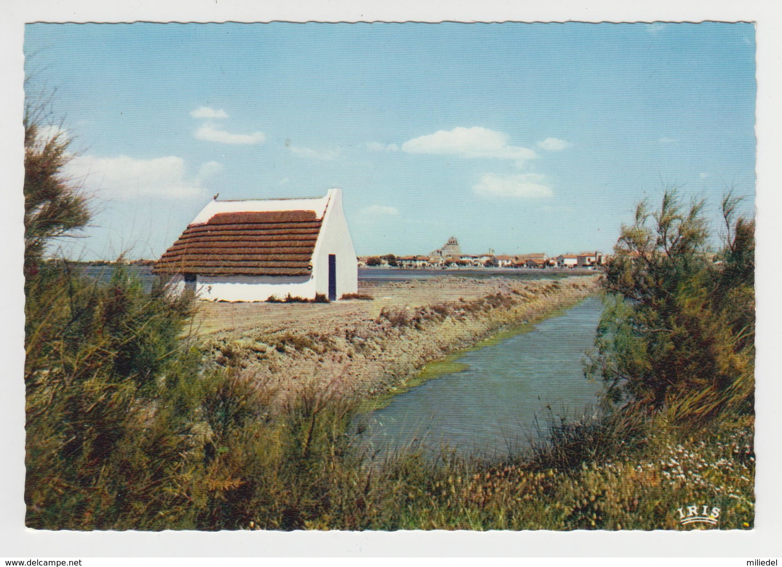 AA212 - CAMARGUE - Près Des Marais, Une Cabane Toute Blanche Au Toit De Roseaux - Autres & Non Classés