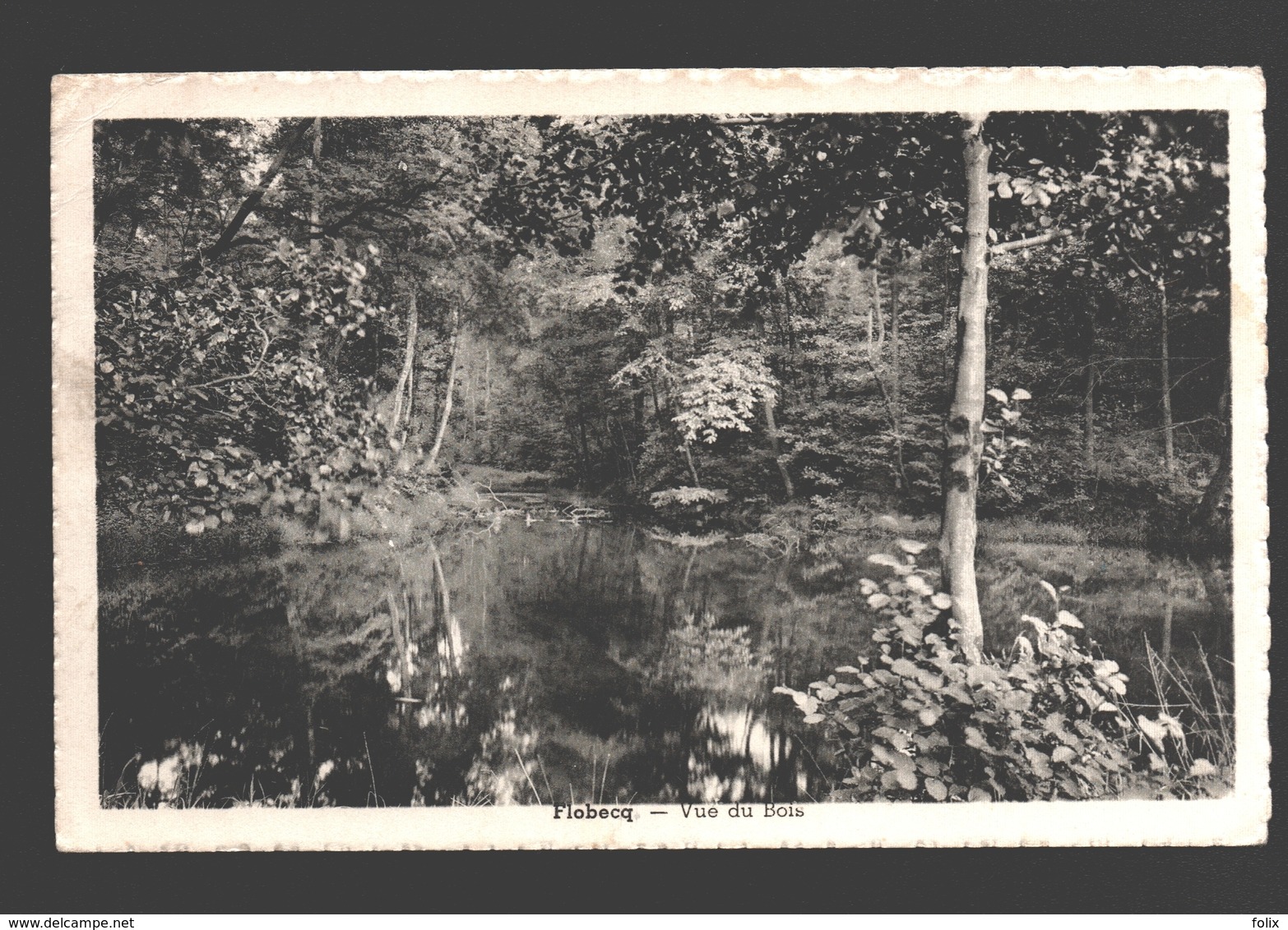 Vloesberg / Flobecq - Vue Du Bois - éd. M. Fostier à Flobecq - Flobecq - Vloesberg