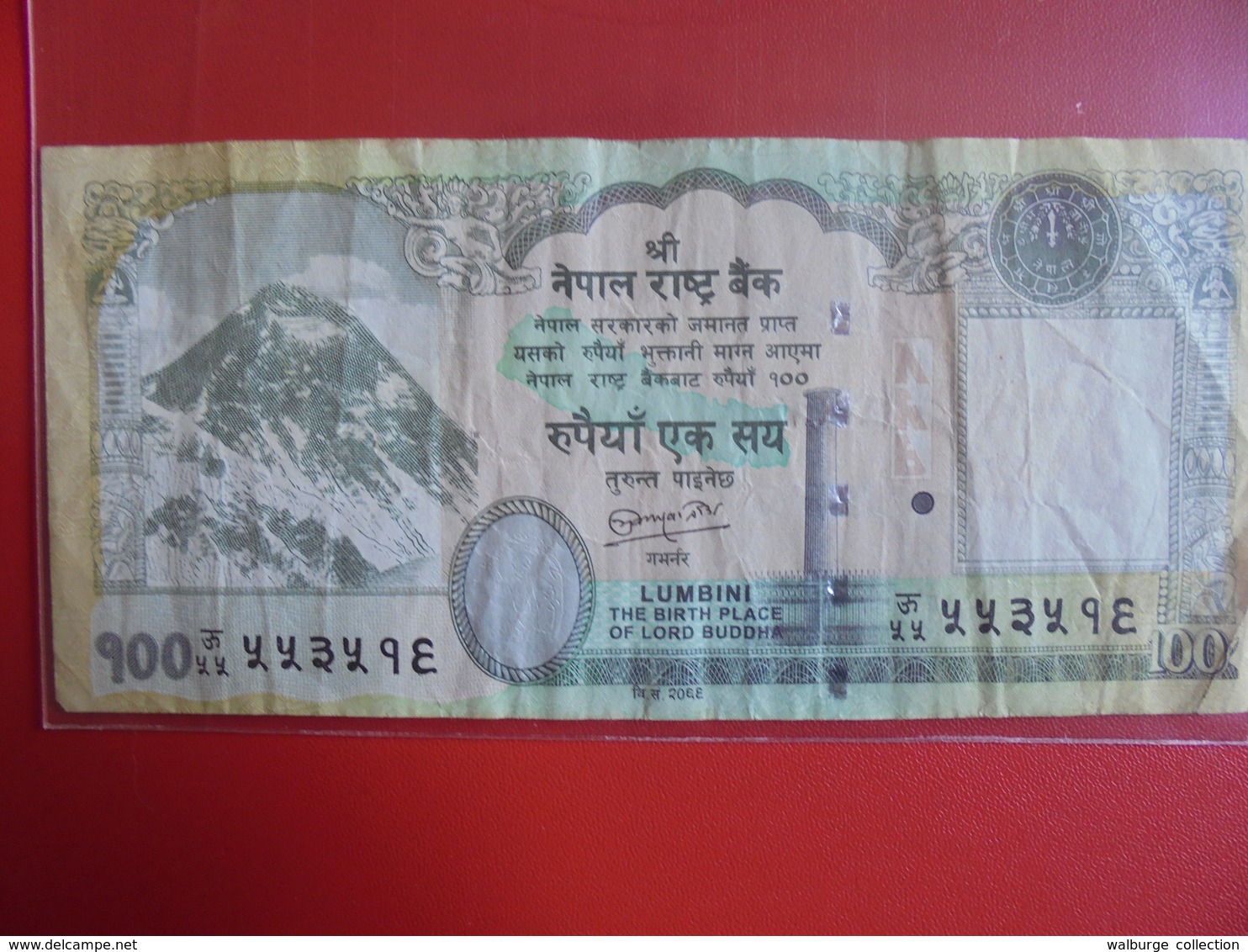 NEPAL 100 RUPEES 2012 CIRCULER - Népal