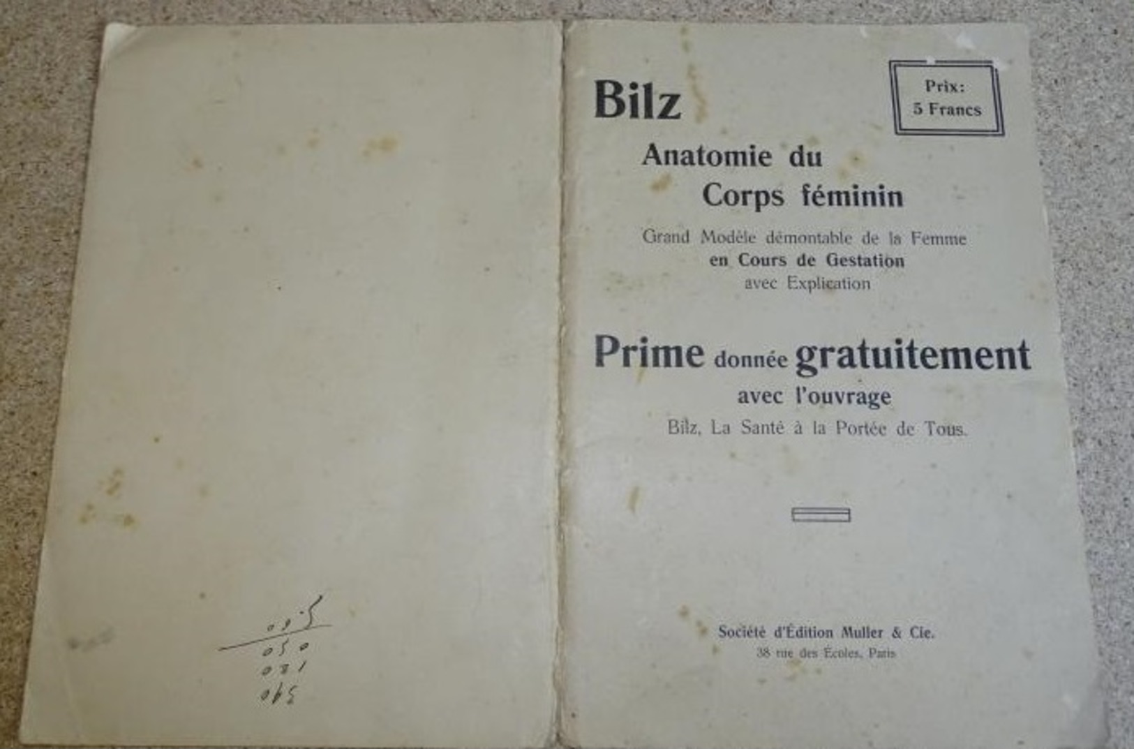 Vieux Port Folio - BILZ Anatomie Du Corps Humain Grand Modèle Démontable De La Femme En Cours De Gestation Planche Anato - Santé