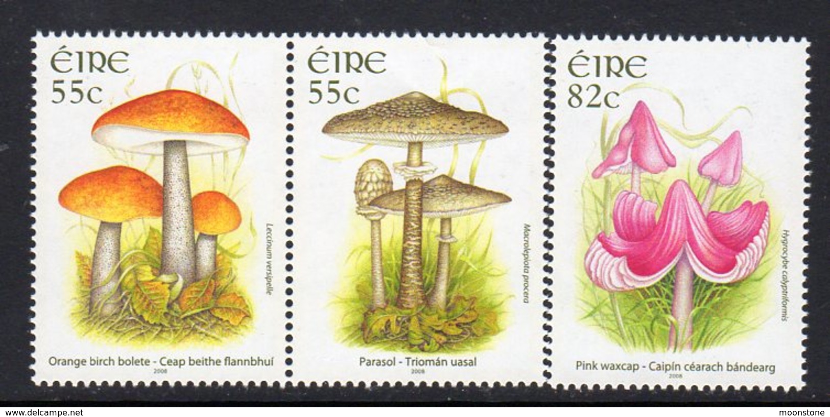 Ireland 2008 Fungi Set Of 3, MNH, SG 1910/2 - Ungebraucht