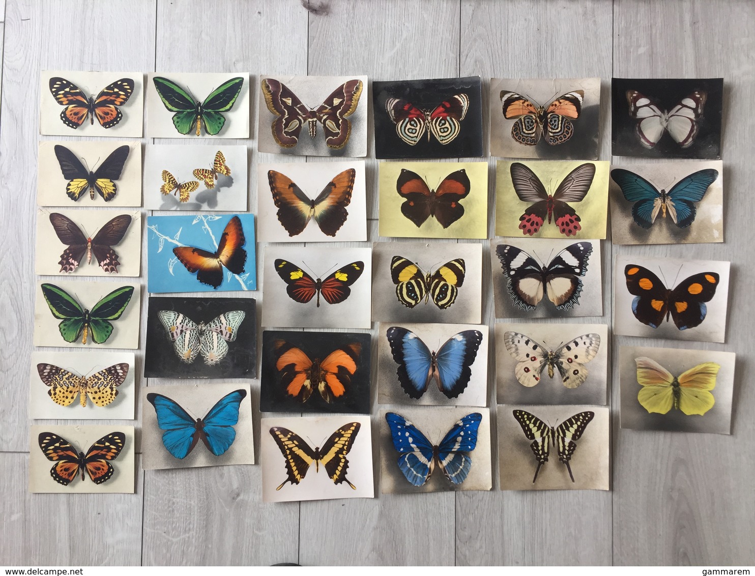 LOT De 30 CARTES Theme PAPILLONS - Papillon - Schmetterlinge