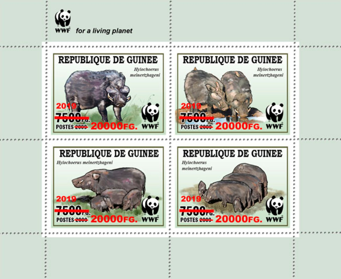 Z08 GU190121a1 Guinea Guinee 2019 WWF Wild Boar MNH ** Postfrisch - Guinée (1958-...)