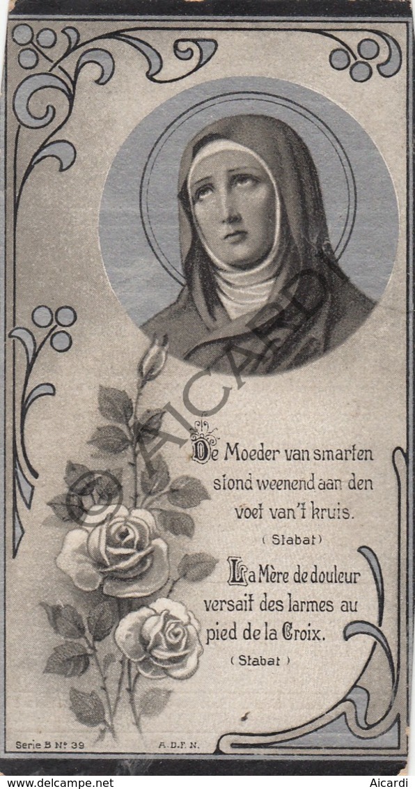 Doodsprentje Zuster/Soeur Anna Maria Torfs °1869 Berlaar †1912 Reninge (B225) - Obituary Notices