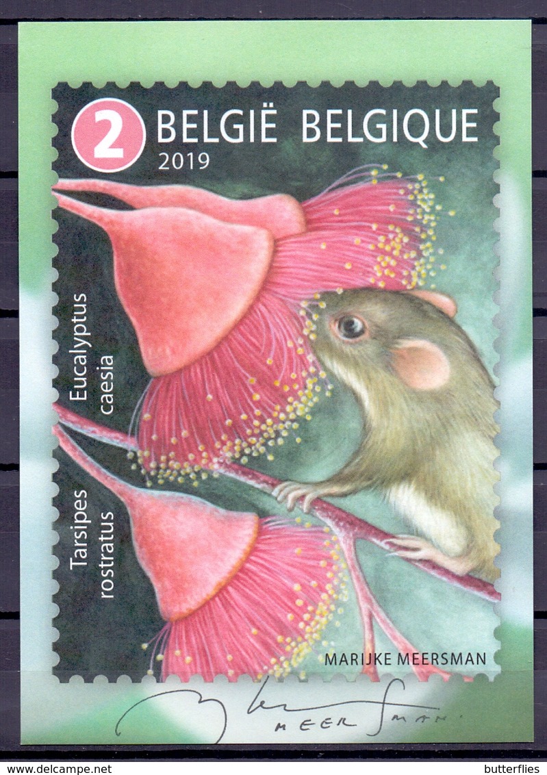 Belgie - 2019 - OBP - 5 Max. Kaarten - ** M.Meersman ** Uitgifte Bpost - 2011-..