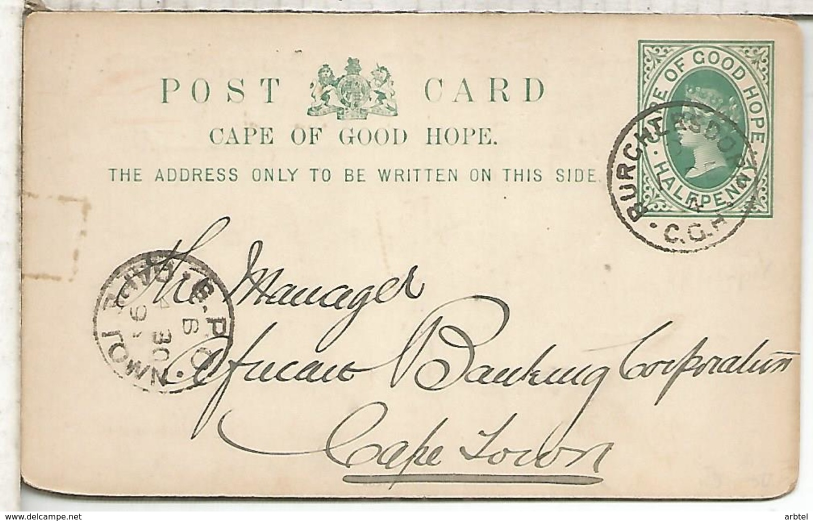 CAPE OF GOOD HOPE 1894 ENTERO POSTAL STANDARD BANK OF SOTH AFRICA - Cabo De Buena Esperanza (1853-1904)