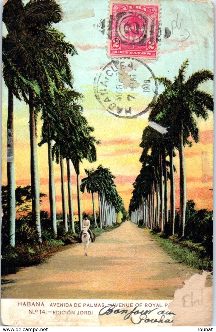 HABANA - Avenida De Palmas (état) - Cuba