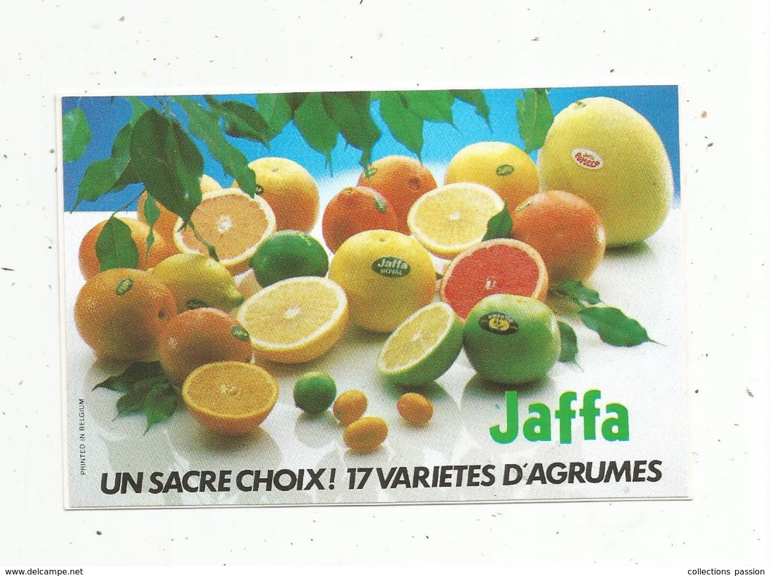 Autocollant , Un Sacré Choix!  17 Variétés D'agrumes JAFFA - Autocollants