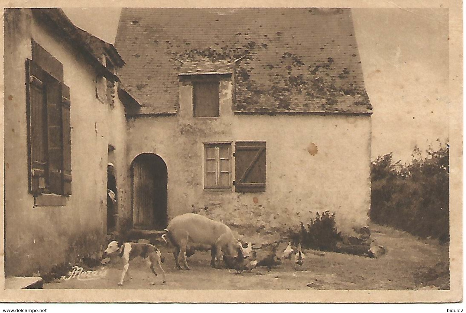 Un Coin Pittoreque - Mesquer Quimiac