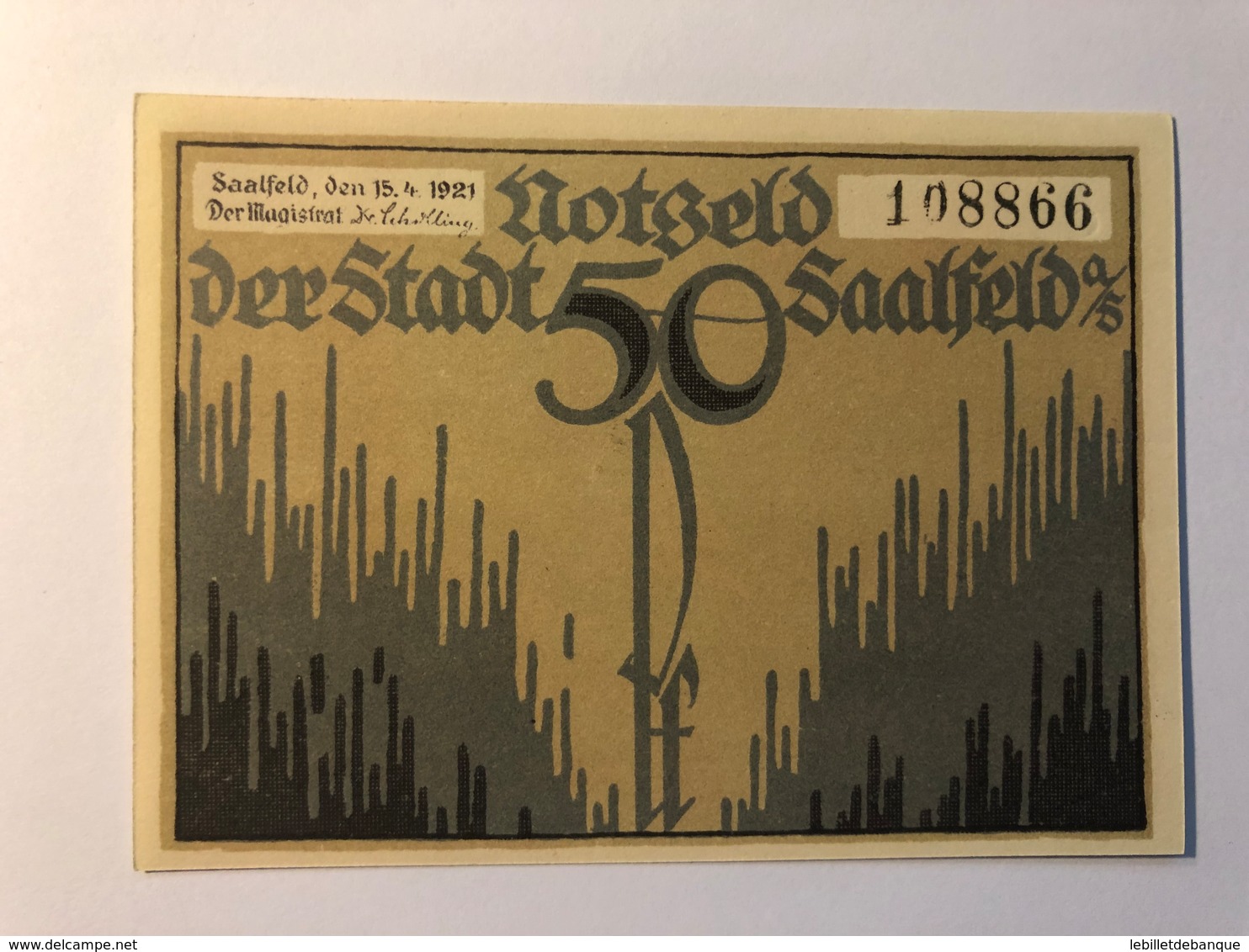 Allemagne Notgeld Saalfeld 50 Pfennig - Collections