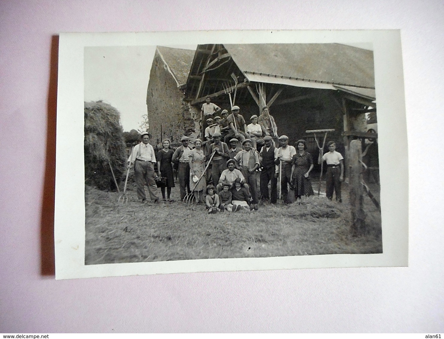 CARTE PHOTO LA RENTREE DES FOINS FERME FOURCHE RATEAUX PAYSANS DE LA SARTHE - Professions