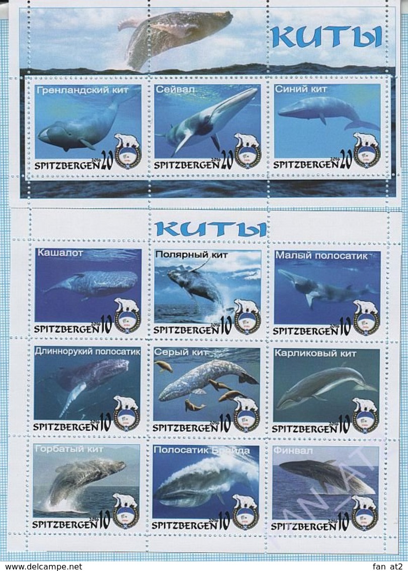 SPITZBERGEN / Stamps / Arktikugol / Arctic. Private Issue. Fauna. Whales. Whale 2016 - Fantasy Labels