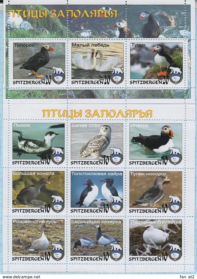 SPITZBERGEN / Stamps / Arktikugol / Private Issue. Fauna. Birds Of The Arctic 2016. - Fantasy Labels