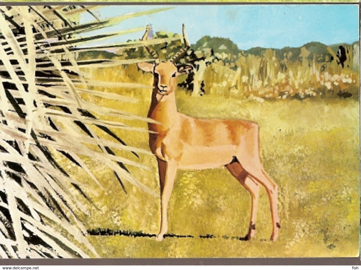 Mozambique ** & Postal Stationery, Animals From Mozambique, Impala, Aepyceros Melampus  (6801) - Mozambique