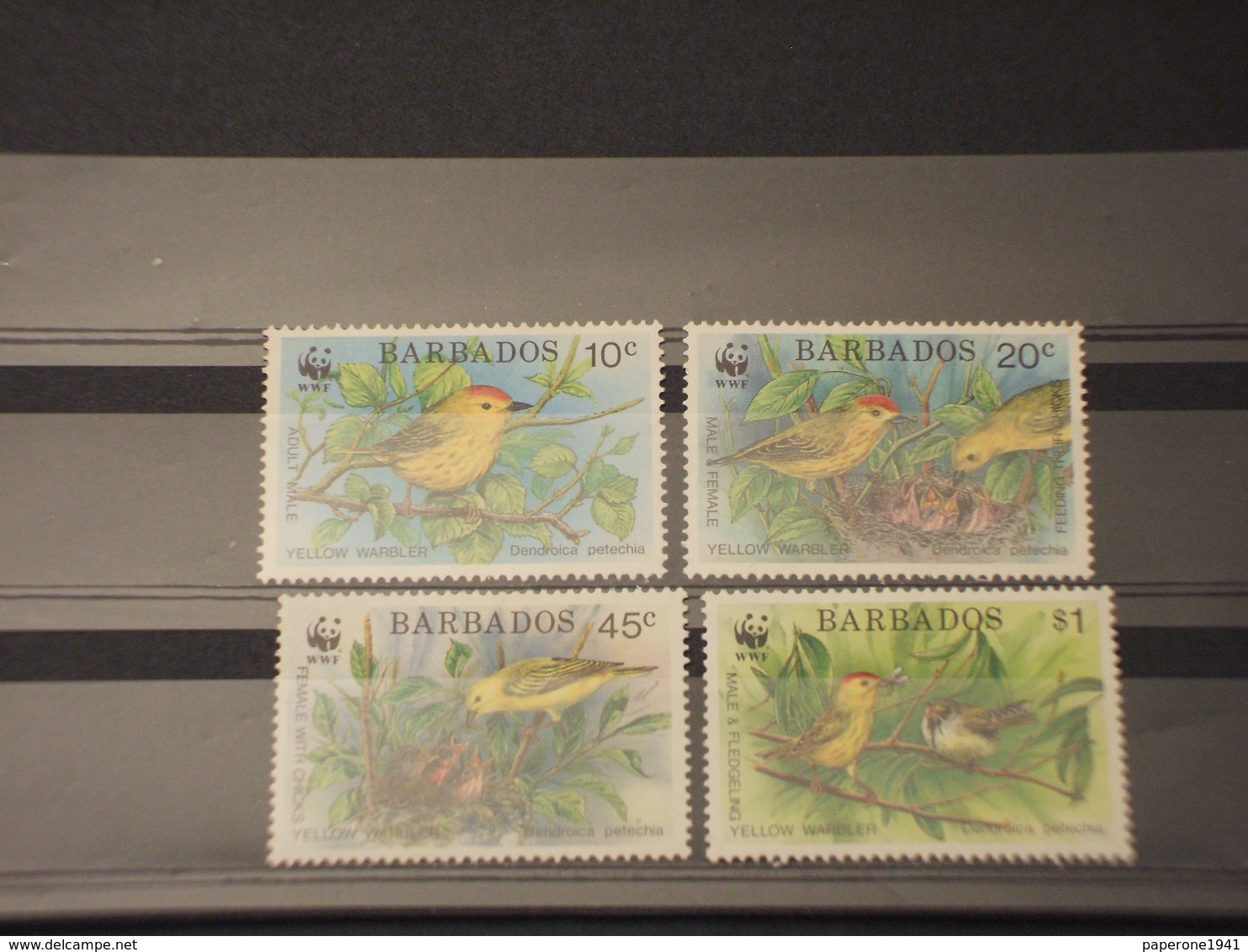 BARBADOS - 1991 WWF UCCELLI 4 VALORI - NUOVI(++) - Barbados (1966-...)