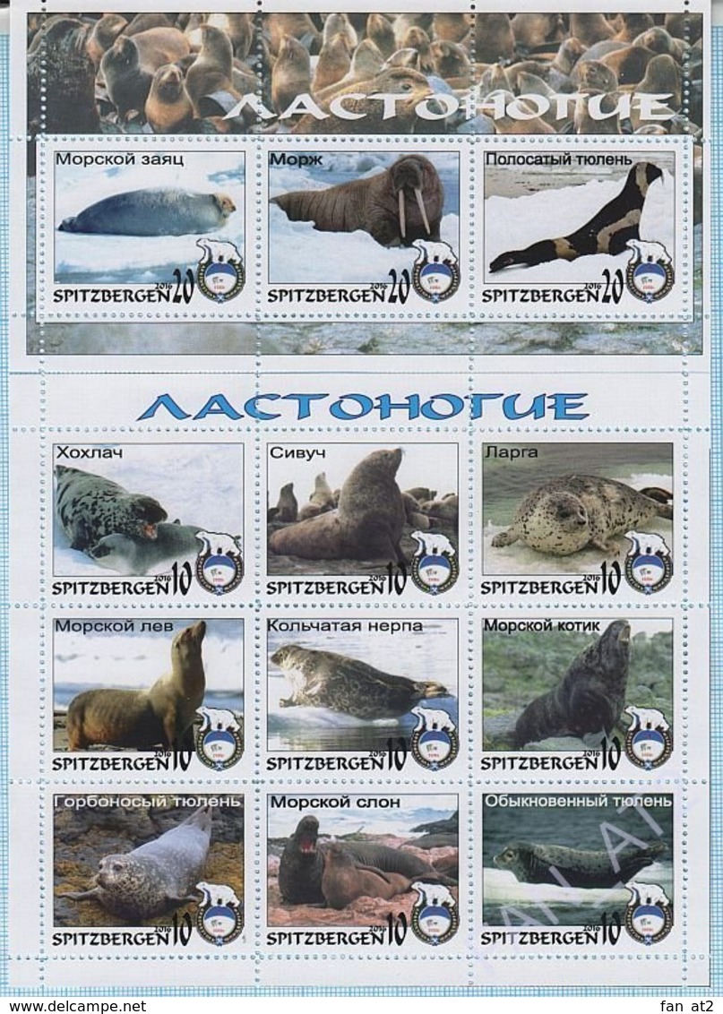 SPITZBERGEN / Stamps / Arktikugol / Arctic. Private Issue. Fauna. Pinnipeds. Seal 2016. - Fantasy Labels