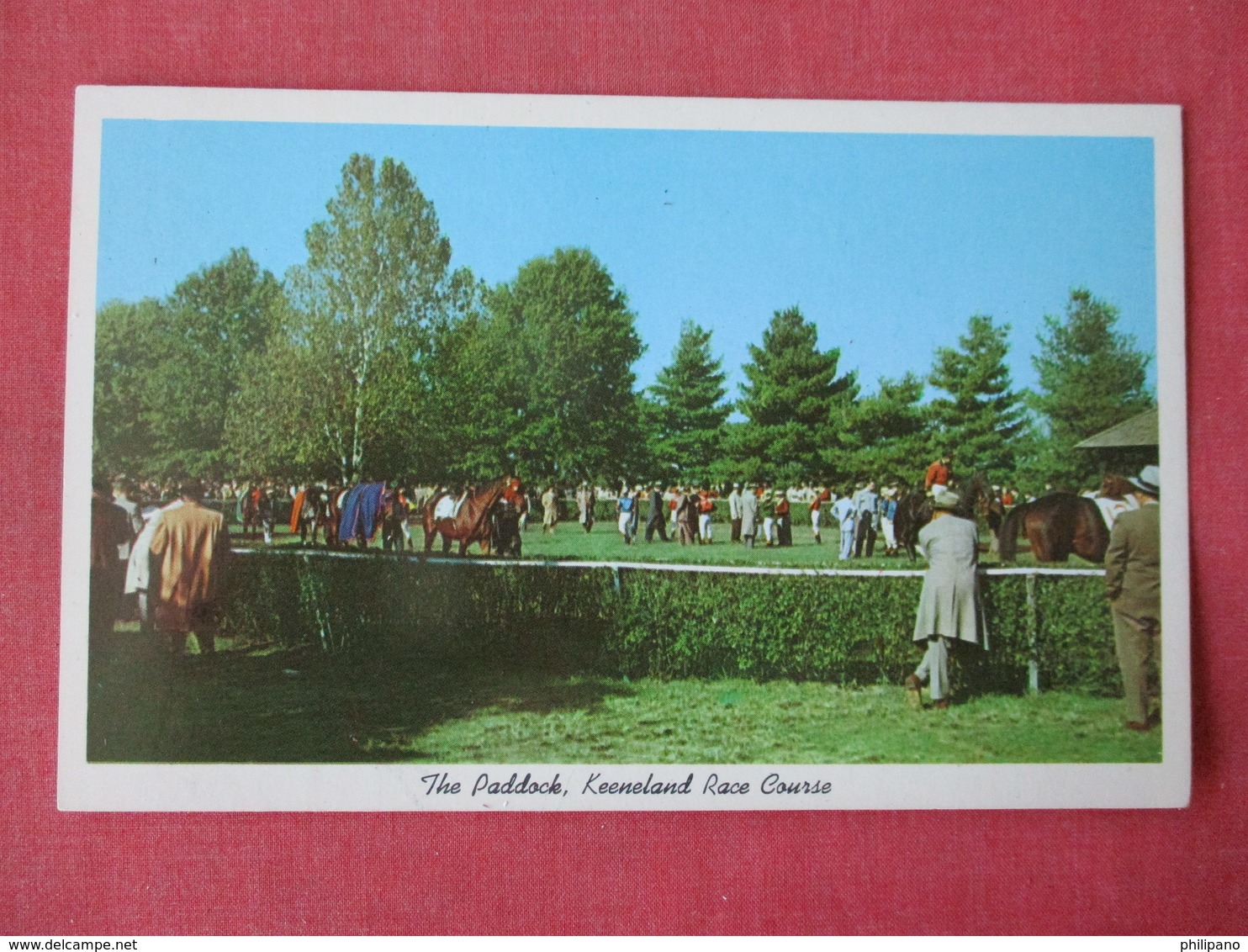 Horse Racing The Paddock  Keeneland Race Course  Lexington KY-ref 3365 - Other & Unclassified