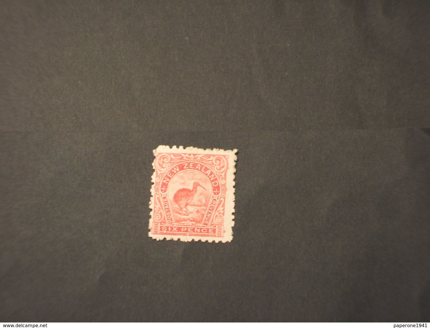 NUOVA ZELANDA - 1903/8 KIWI 6 P.. - NUOVI(+/++) - Unused Stamps