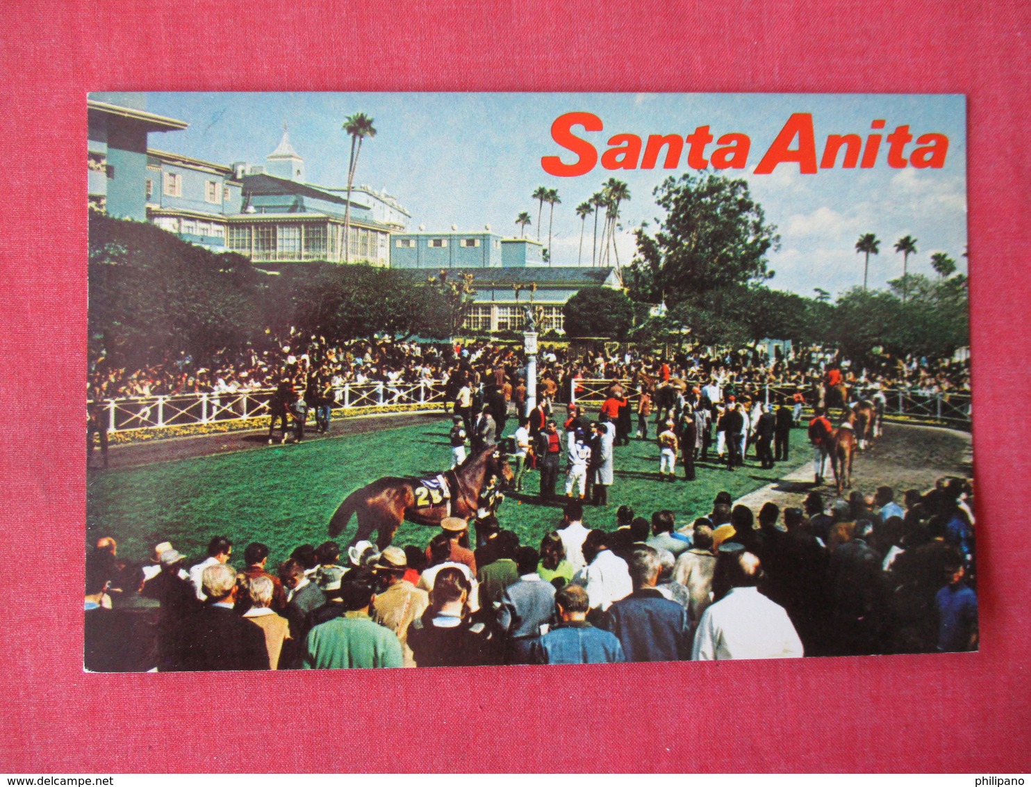 Horse Racing -- Sanata Anita Park  Arcadia  Ca.  -ref 3365 - Other & Unclassified