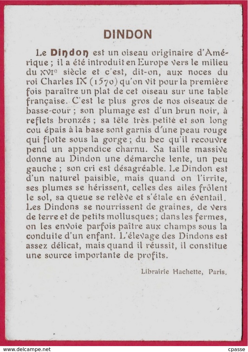 IMAGE LE DINDON ** Animaux - Autres & Non Classés