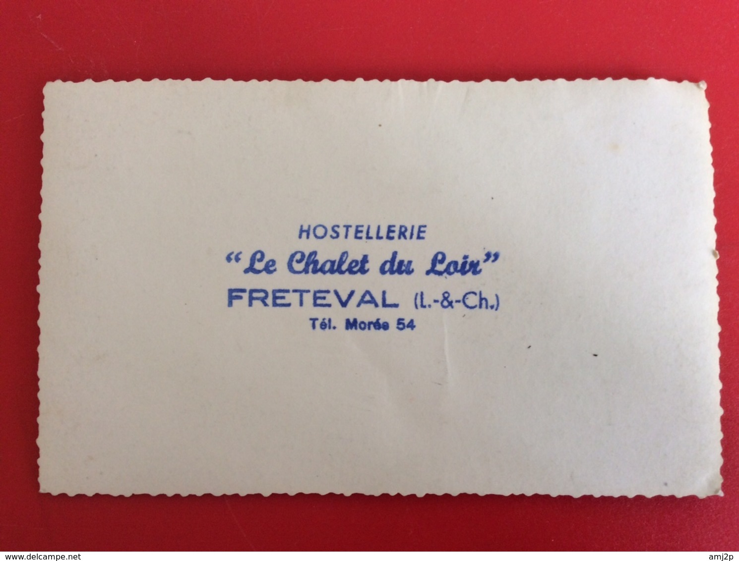 CPA  FRETEVAL Hostellerie "Le Chalet Du Loir"  Réf 551 - Autres & Non Classés