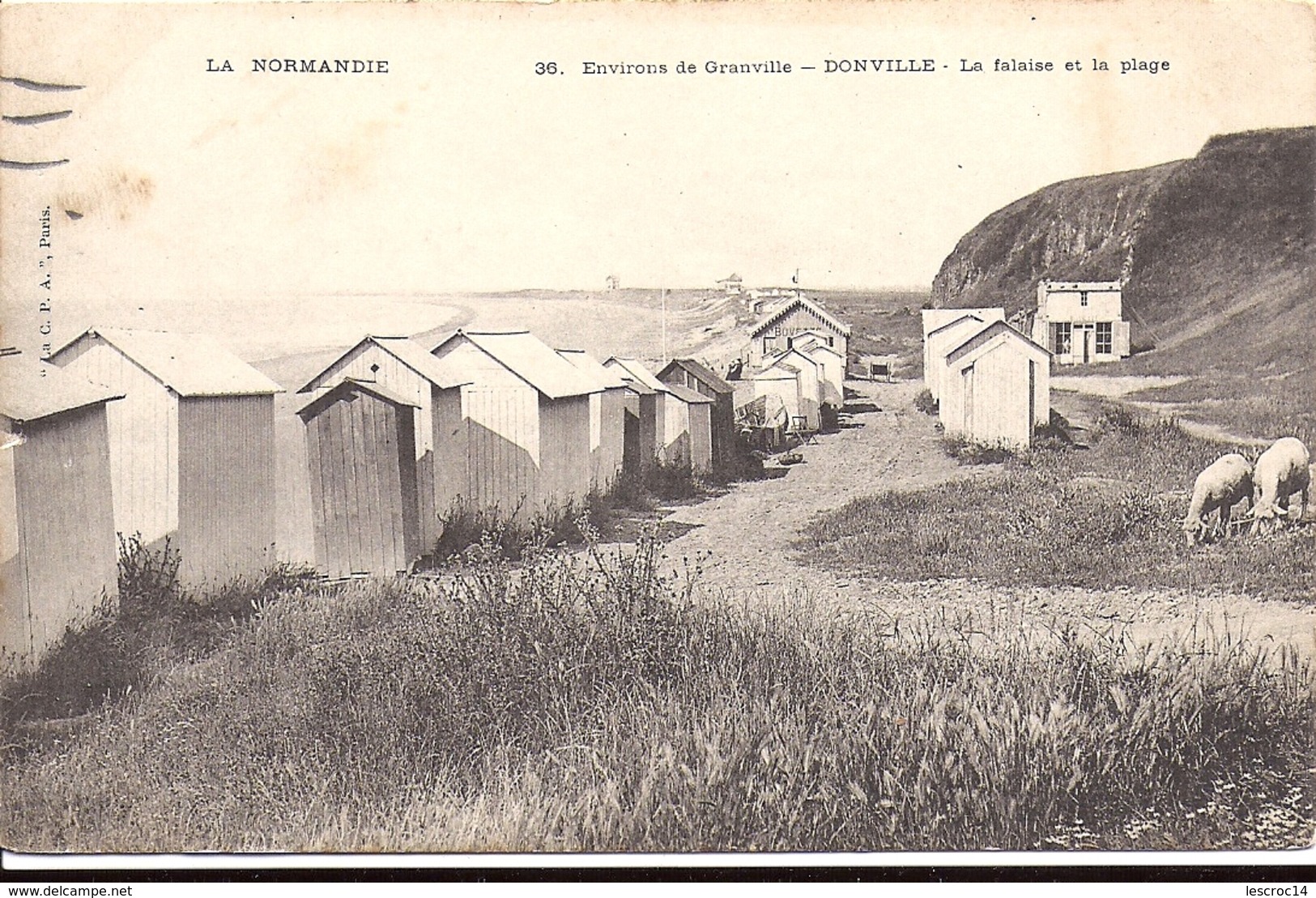 DONVILLE Environs De Granville La Falaise Et La Plage N°36 La CPA Paris - Autres & Non Classés