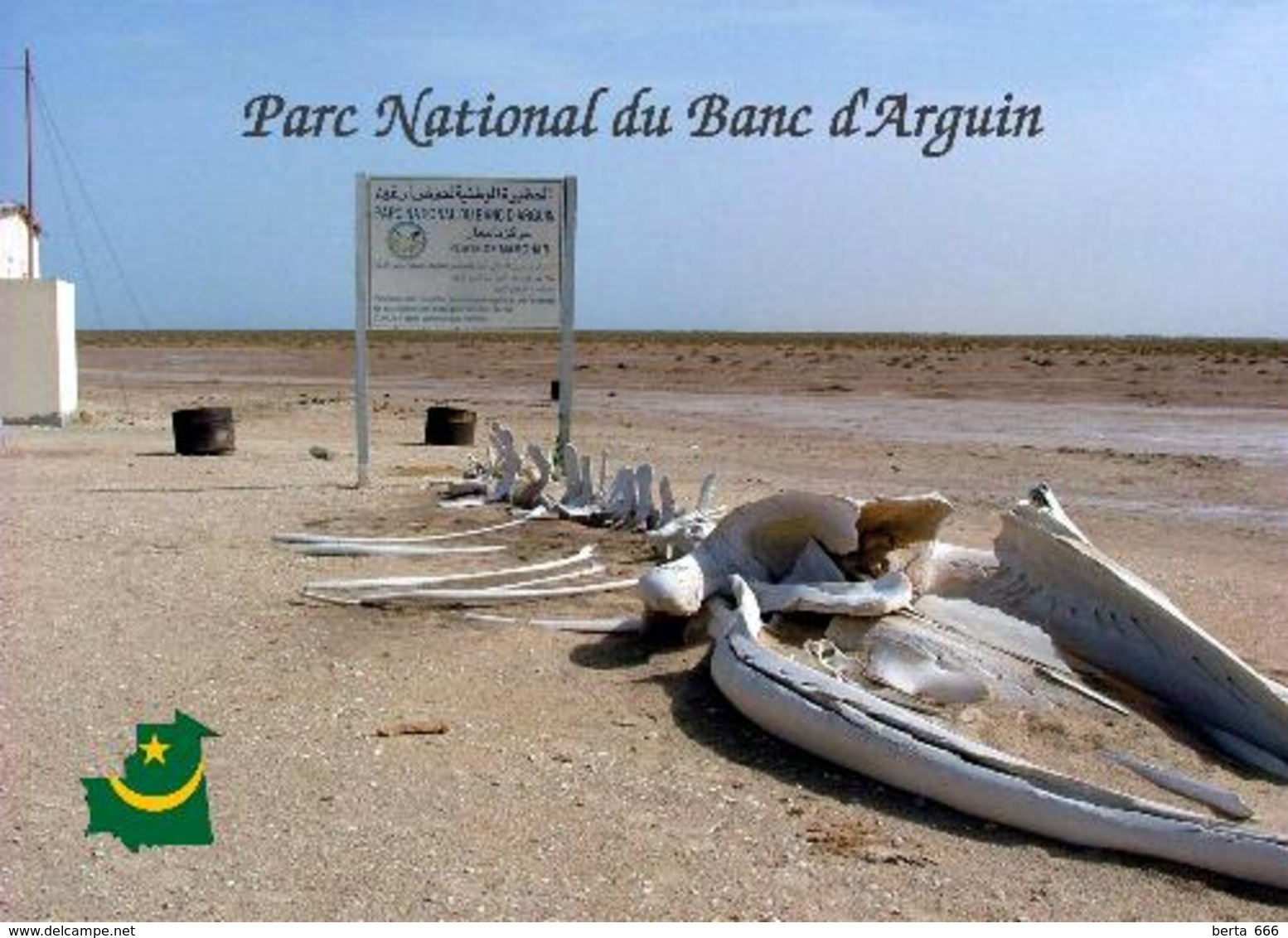 Mauritania Banc D'Arguin National Park UNESCO New Postcard Mauretanien - Mauretanien